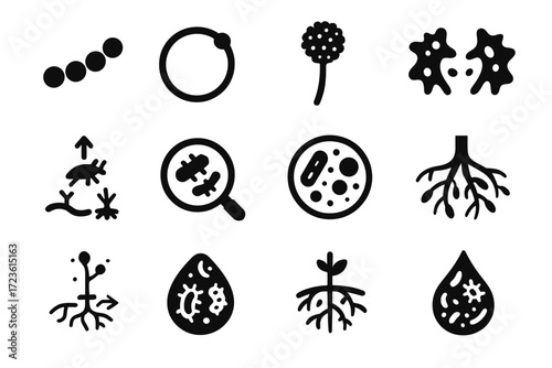 Cocci protozoa microbes magnified soil petri fungal vector icon bacteria colonies