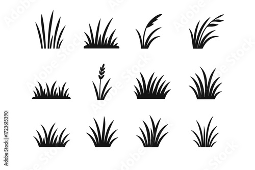 Vector field icons horizon stalk thin edge icon stalks grass prairie growth
