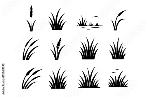 Icons icon prairie vector tall cluster stalks dense grass stalk bent