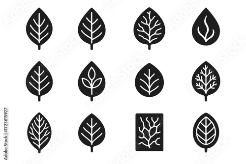 Midrib veins class leaf icon botany fossil vector flow vein symbols icons