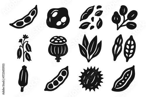 Fragments pods vector organic shells curved exotic scattered icon leaf pod seed
