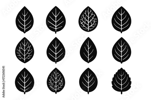 Foliage icon vein radial detail icons pattern veins vector leaf network teardrop