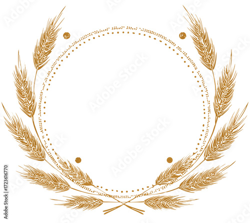 wheat ears on white background