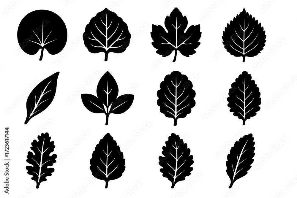 Fototapeta premium Perilla basil vector wavy leaf icons silhouette icon rhubarb sage oval edge
