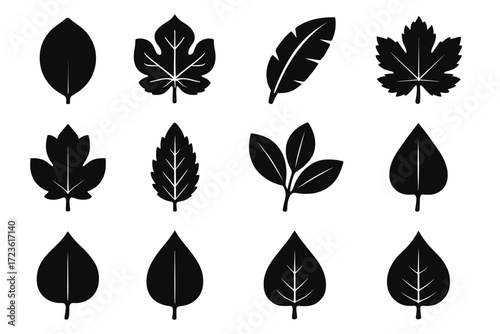 Grape vector leaf icon silhouette rounded curve walnut shape edge outline icons