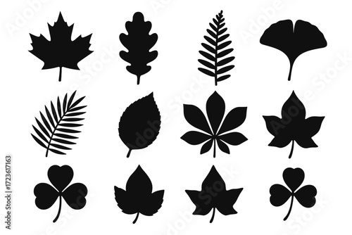 Vector fan outline leaf collection silhouette side shape icon maple fern