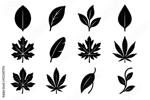 Icon tip coffee lobes vector castor curve leaf silhouette papaya