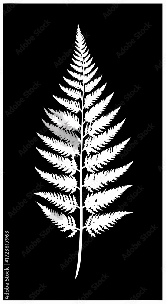 Fototapeta premium vector silhouette of a feather