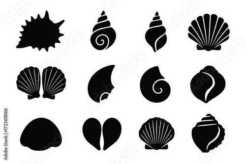 Vector fragment set seashell shell icon silhouette jagged broken tiny sea
