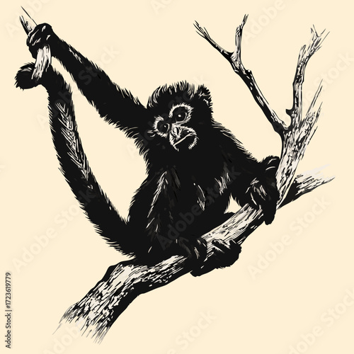 animal, gibbon, mammal, wildlife, zoo, tree, nature,