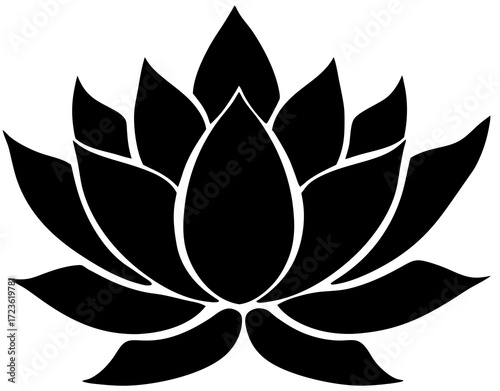 lotus flower on white background