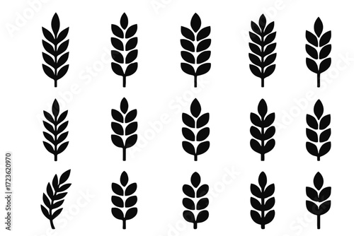 Set harvest head form wheat icon grain cereal vector curved tip