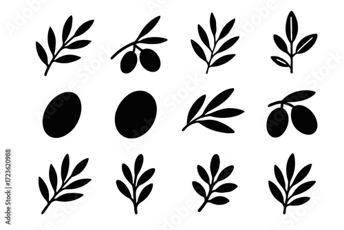 Mediterranean compact vector olive profile plant leaves collection lines icon branch