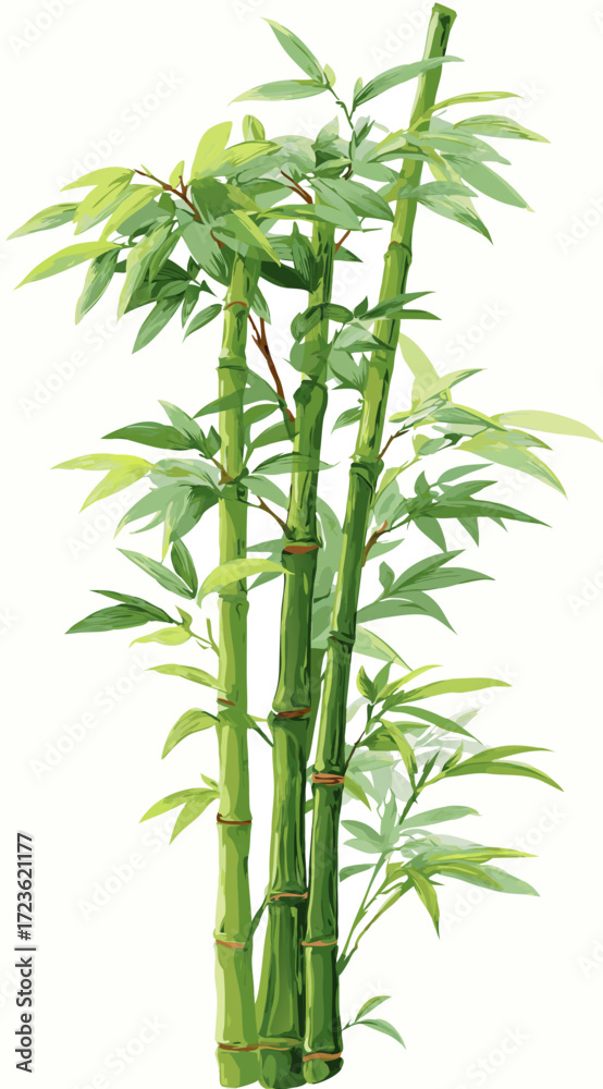 Fototapeta premium Lush green bamboo plant illustration with leafy shoots and strong stems, isolated botanical graphic element for design