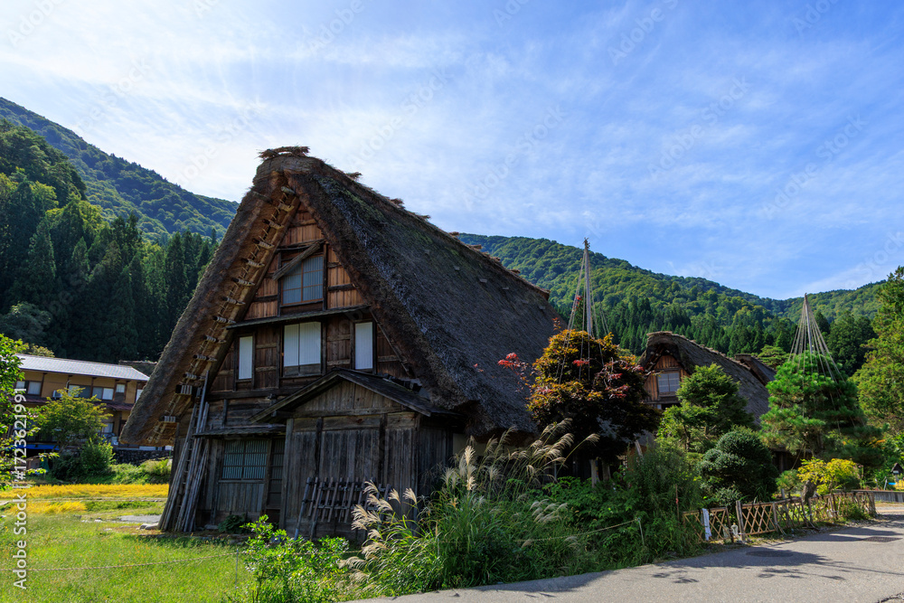 Fototapeta premium 白川郷の合掌造り茅葺き屋根の伝統家屋 