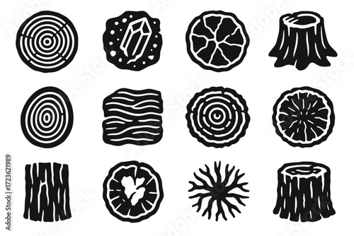 Slice embedded section edge fossil ancient scar layered wood icon trunk vector