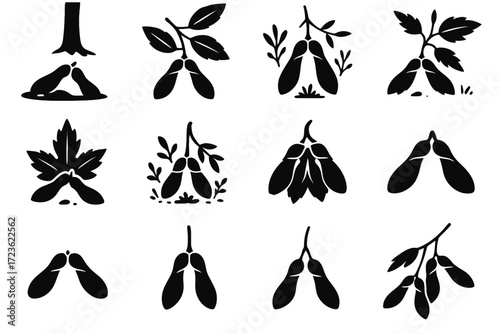 Winged twig layered natural iconography seed leafy maple icon vector organic