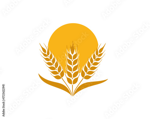 Golden wheat ears and stylized sun graphic on white, symbolizing agriculture, harvest, natural food, farming, and organic products.