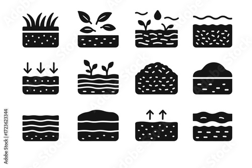 Settle formation mass plant compaction peat saturation vector stage moss pressure icon