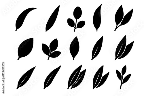 Vector overlapping icon leaves drooping small eucalyptus stem leaf oval curved