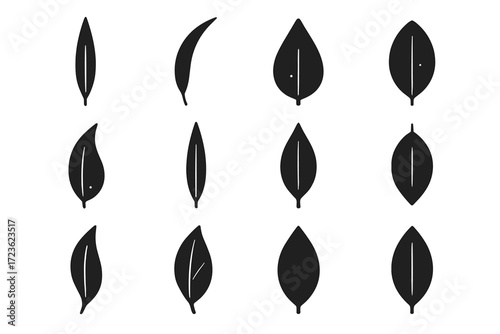 Vector linear split icon form leaf oblong shape parallel eucalyptus silhouette icons