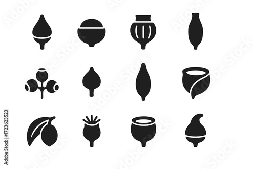Seed set flowering bud fruit icons eucalyptus vector icon overlap pod capsule