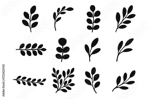 Border icon botanical set isolated cluster form corner decorative eucalyptus vector pack