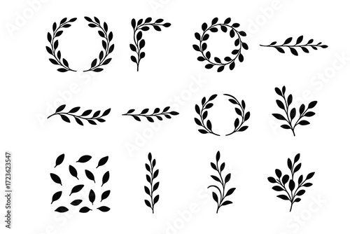 Eucalyptus collection vector embellishment line vertical icon leaves floral leaf accent