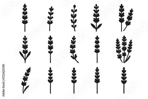 Buds leaf tall bloom segment icon sprig flowering vector lavender set