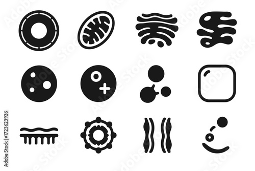 Double ring folds layers set secretory vector golgi membrane stack icon organelles