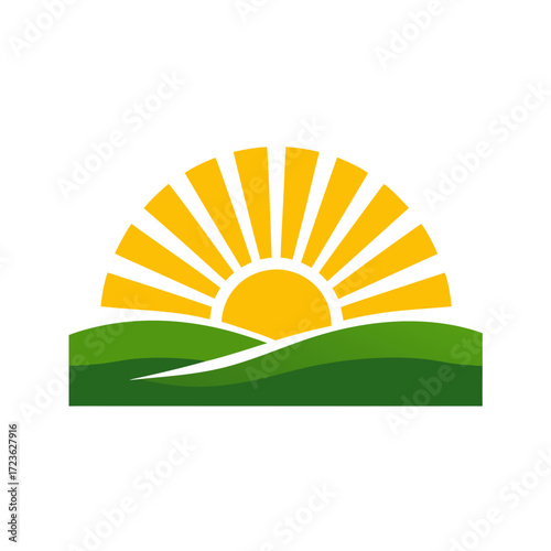 summer landscape with sun and grass