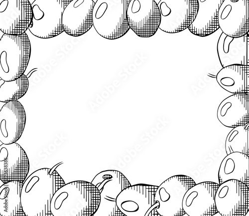 Olive berry rectangle template. Vector graphic line ink Black and white illustration. Mediterranean botanical design for package Banner, poster, wrapping paper, sticker, print, modern textile design.