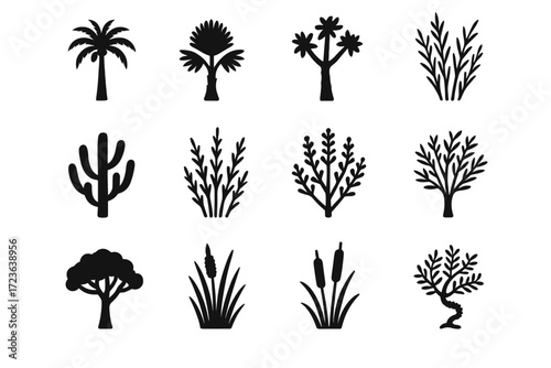 Doum cattail seepwillow flora vector thorn fan camel icon desert icons palm