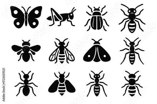 Ant mountain wasp icon insects insect vector stonefly alpine highland glacier