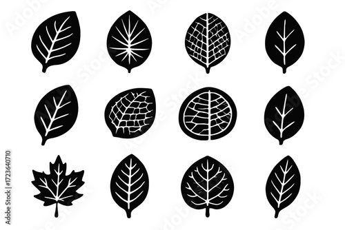 Lines vein vector plant slices veins minimalist icons icon leaf tropical