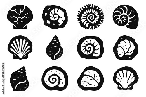 Old oyster structure icon shell cracked fossil nautilus rock vector flat fine
