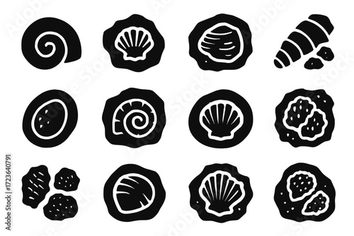 Icon shell vector segments sample embedded fragments fossil compressed icons fossilized