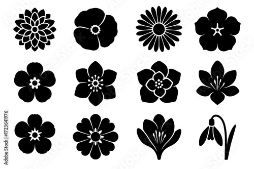 Flower head full grid vector calendula round shape icons dahlia floral crocus