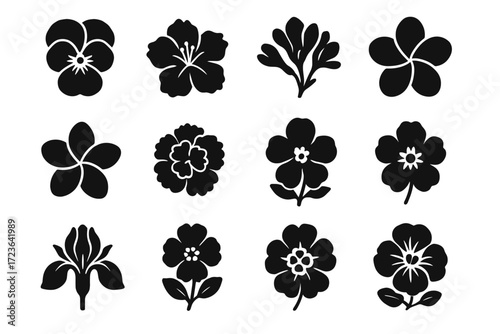 Grid icon violet flower vector freesia bloom petals plumeria silhouette outline fan