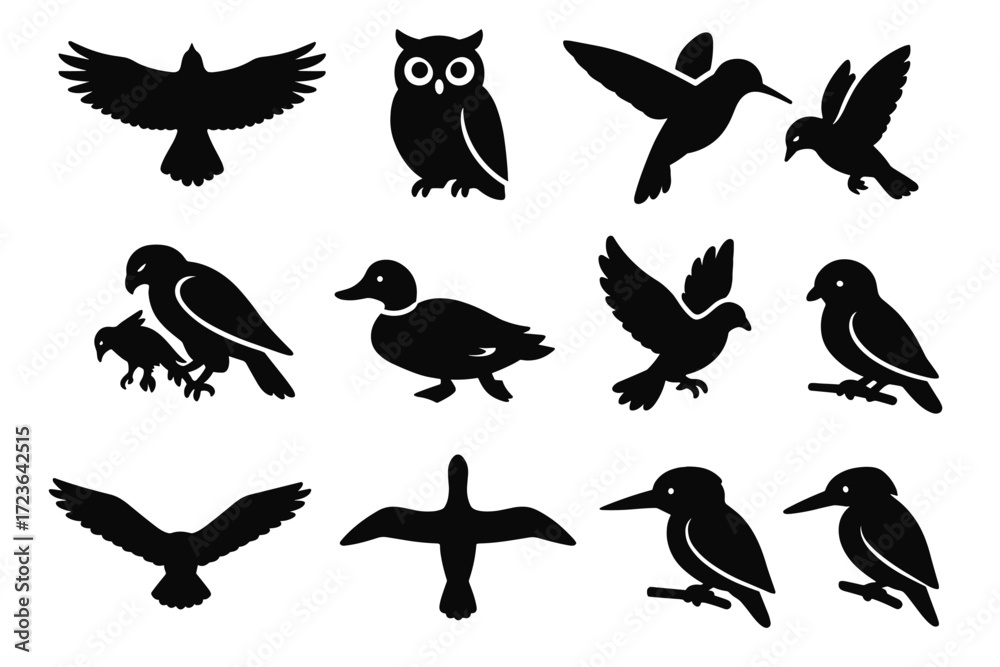 Obraz premium View hovering prey vector silhouette bird icon branch gliding flying icons albatross