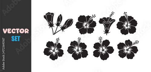 Collection of black and white hibiscus flower illustrations and buds