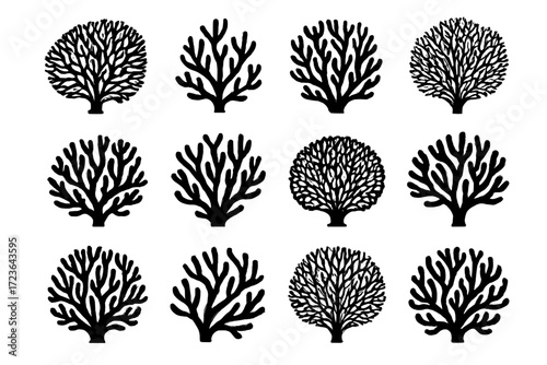 Motif cluster silhouette icon reef branch vector filigree pattern coral collection