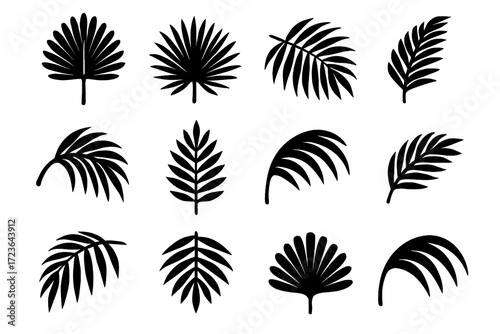Central ocean arched swept icon foliage palm fronds vector curve dense
