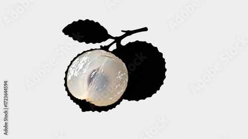 Silhouette of a longan, with translucent flesh