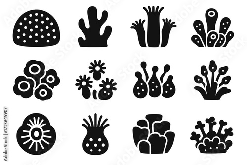 Dome vector coral polyps body radial tidepool crown icon cluster