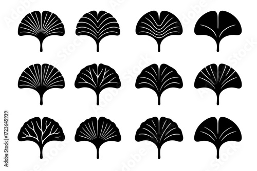 Vector icon veins organic radial vein ginkgo fan leaf concentric