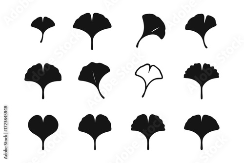 Leaf minimal mature ginkgo vector icon shape extended curled open