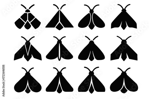 Icon triangular insect modern stylized vector curves icons shape feature abstraction moth