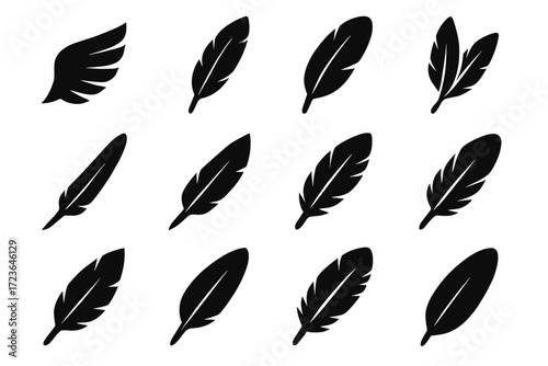 Wing icon silhouette icons plume eagle curve vector double feather tip