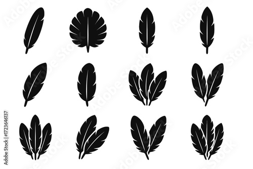 Eagle wing feather icons plume barbs tip wide layout illustration icon vector